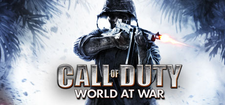 Call of Duty: World at War Dedicated Server Guide