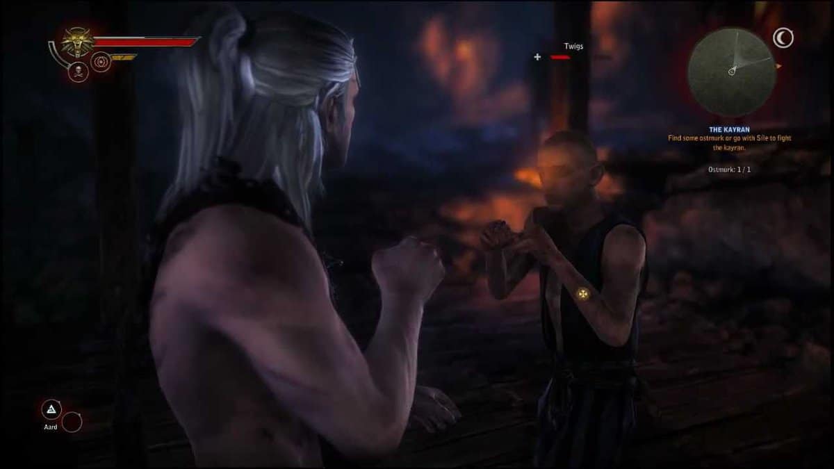 The Witcher 2 Fistfighting