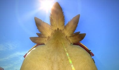 Fat Chocobo Shows Off Its Final Fantasy XIV PS4 Booty