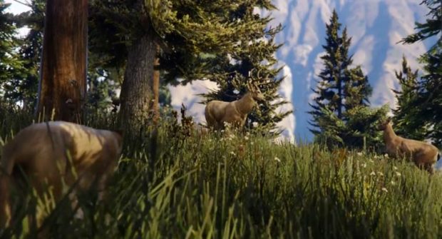 GTA V Wildlife Photography Challenge Guide – All Animal Locations