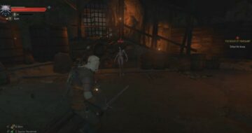 How To Kill Bruxa In The Witcher 3