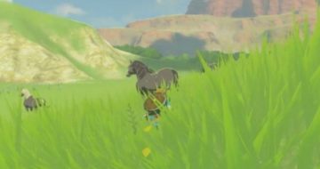 The Legend of Zelda: Breath of the Wild Money Farming