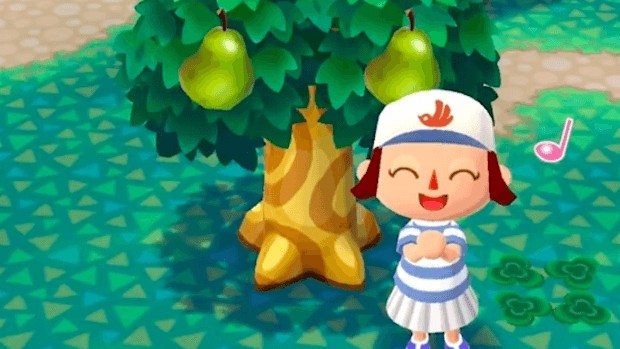 Animal Crossing: Pocket Camp Collectibles Guide