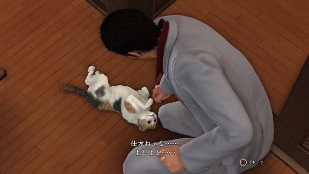 Yakuza 6 Cats Guide – Stray Cats Locations, Where To Find All 19 Cats