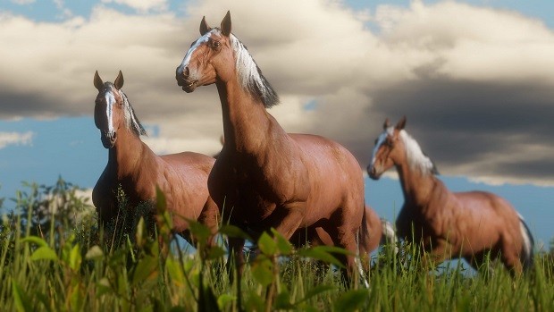 Red Dead Redemption 2 Best Horses, Locations, Breeding Tips
