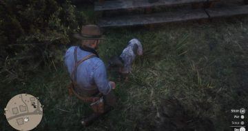 Red Dead Redemption 2 dogs