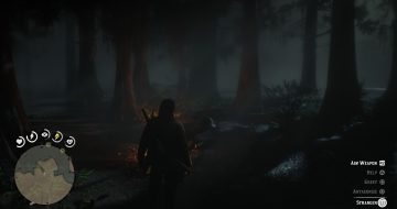 Red Dead Redemption 2 A Fine Night For It stranger mission