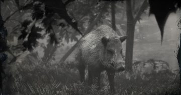 Red Dead Redemption 2 Legendary Boar Location