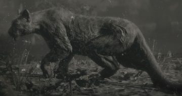 Red Dead Redemption 2 Legendary Panther