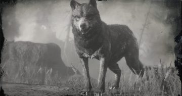 Red Dead Redemption 2 Legendary Wolf