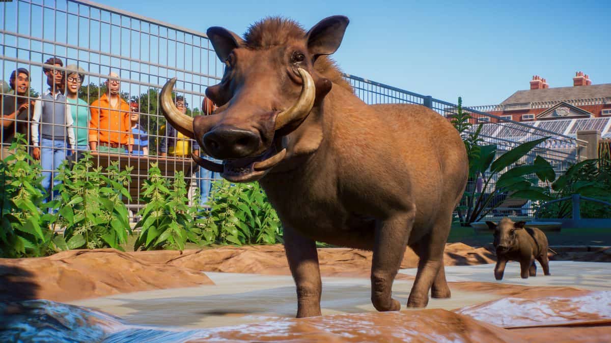 Planet Zoo Review: Play Well To Avoid A Guilty Conscience