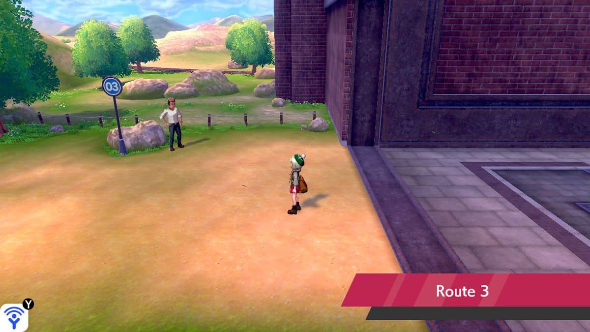 Pokemon Sword and Shield Route 3