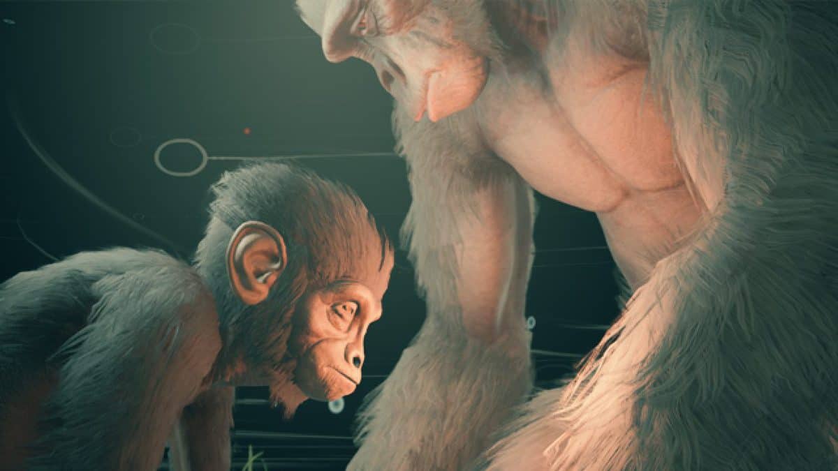 Ancestors Humankind Odyssey Baby Monkey