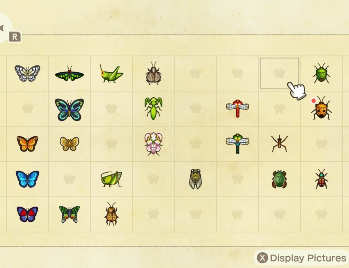Animal Crossing New Horizons Bugs Guide