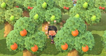 How to Get Other Fruit Trees in Animal Crossing New Horizons