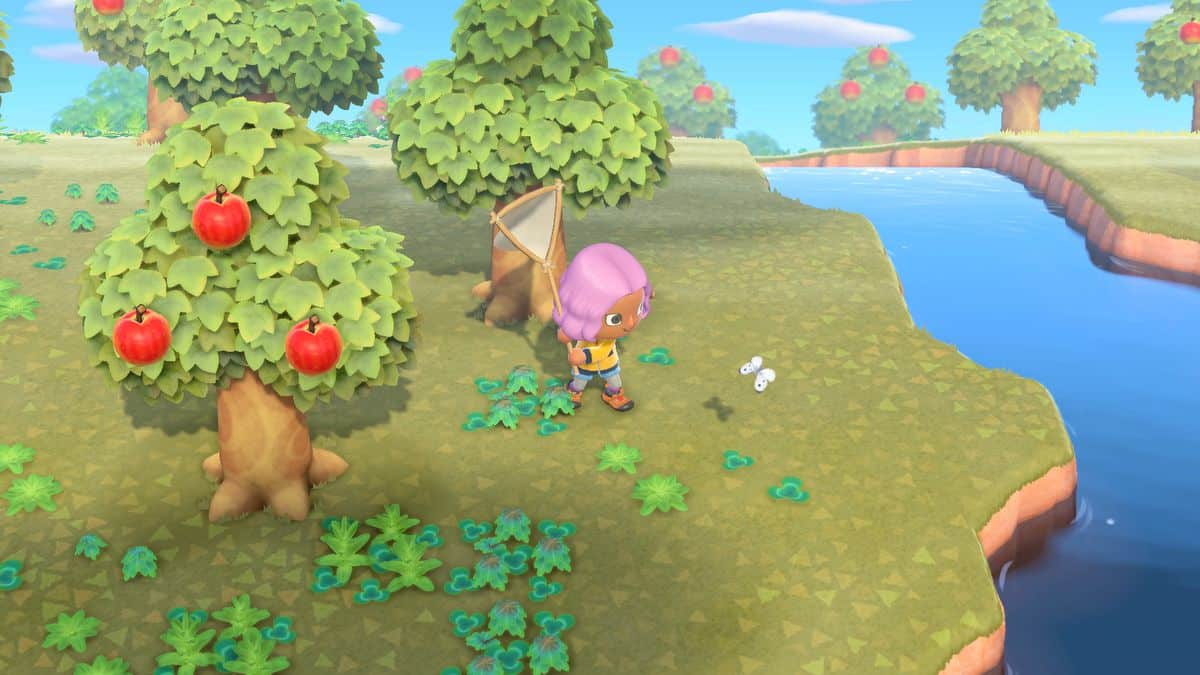 Animal Crossing New Horizons Mystery Island Tour Guide