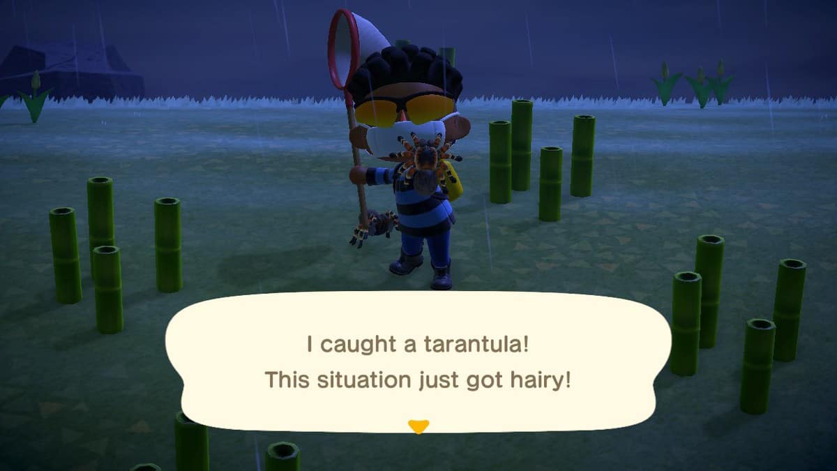 How to Get to Tarantula Island in Animal Crossing New Horizons
