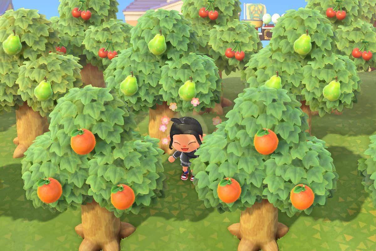 Animal Crossing New Horizons Trees