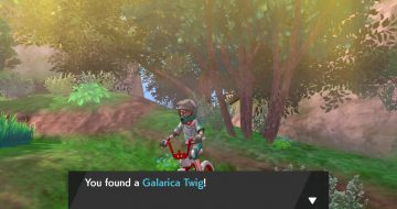 Galarica Twigs in Pokemon Sword and Shield