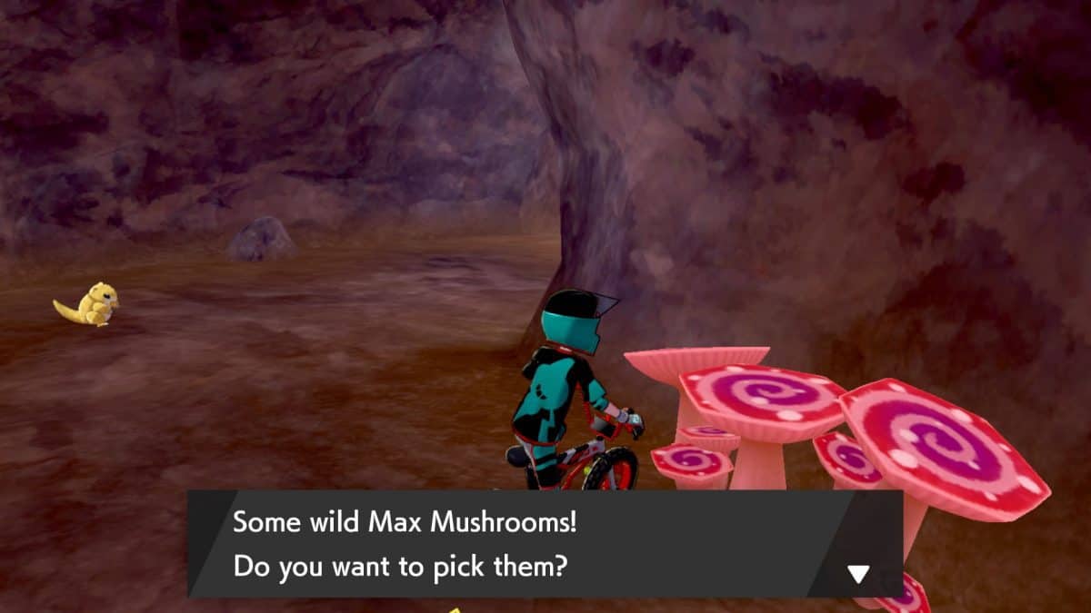 Pokemon Sword and Shield Max Mushrooms Guide