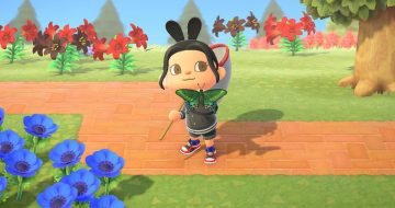 Animal Crossing New Horizons Miyama Stag