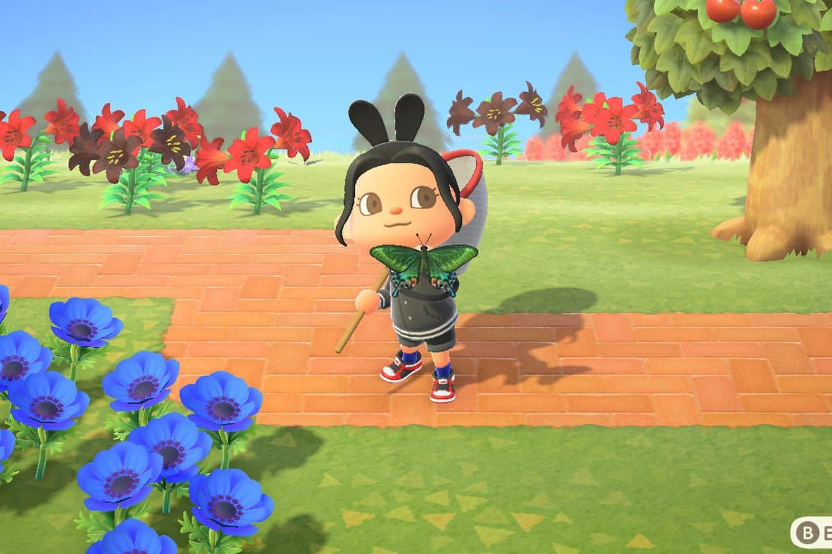 How to Catch Miyama Stag in Animal Crossing New Horizons