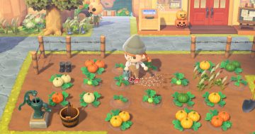 Animal Crossing New Horizons Halloween Pumpkin Farming