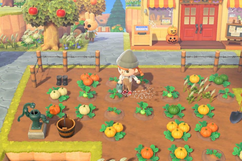 Animal Crossing New Horizons Halloween Pumpkin Farming Guide