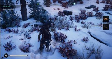 Assassins Creed Valhalla Reindeer Antlers