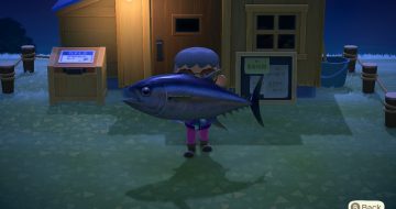 Animal Crossing New Horizons Rare Fish