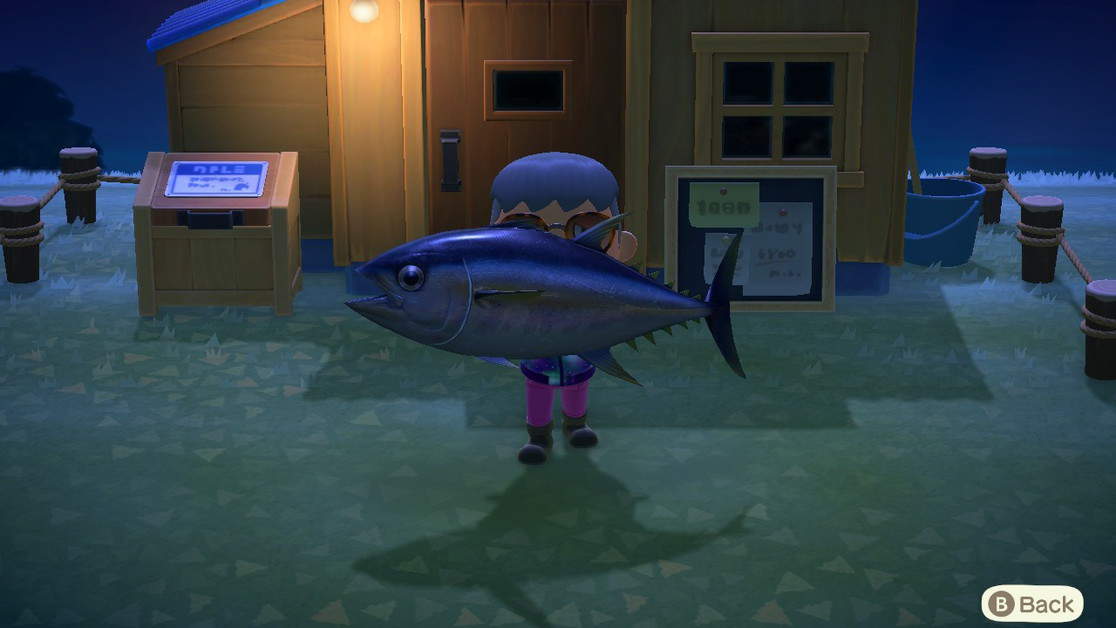 Animal Crossing New Horizons Rare Fish