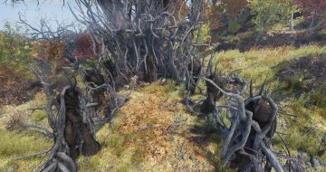 Fallout 76 Cultist Locations