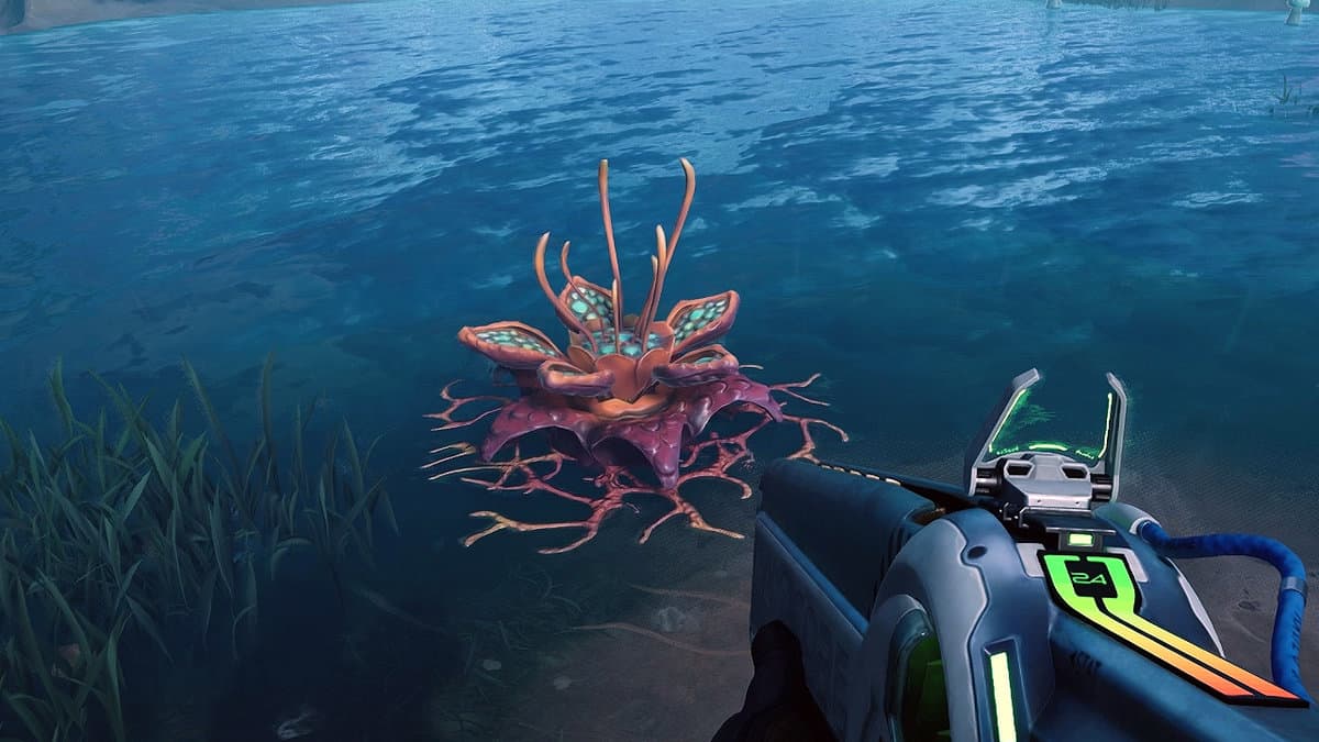The Cycle: Frontier Waterweed Filaments Locations
