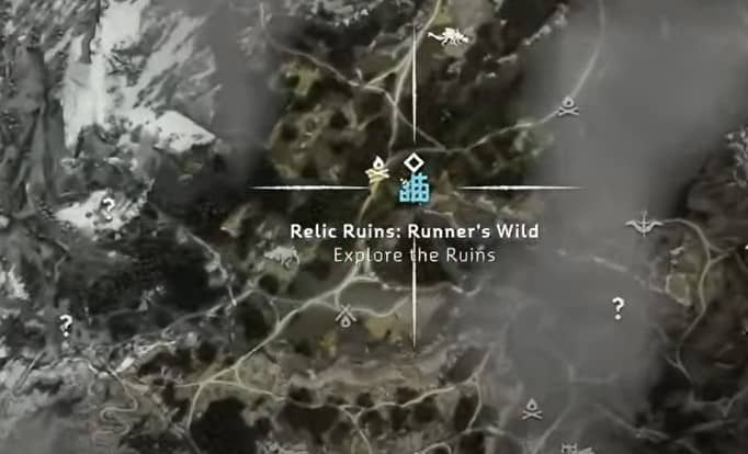 Relic Ruins: Runner's Wild Ornament 6/9