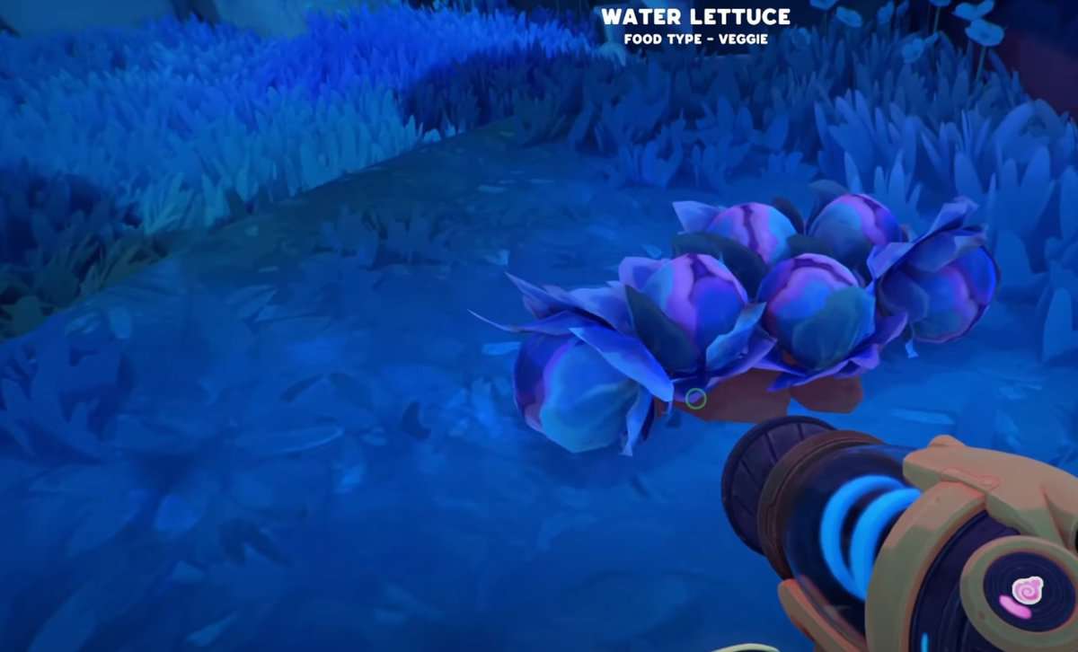 Where To Find Water Lettuce In Slime Rancher 2