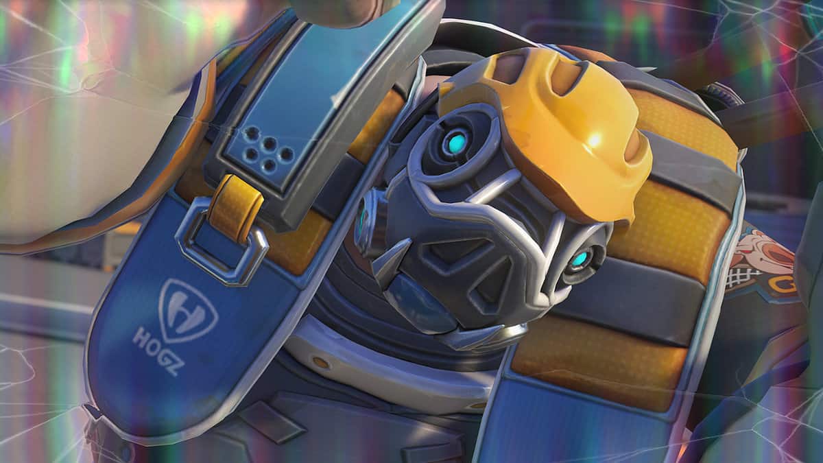 Overwatch 2 Roadhog Counters And Synergies