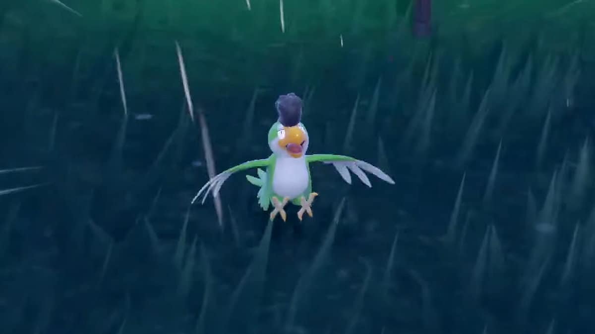 How To Catch Squawkabilly In Pokemon Scarlet And Violet