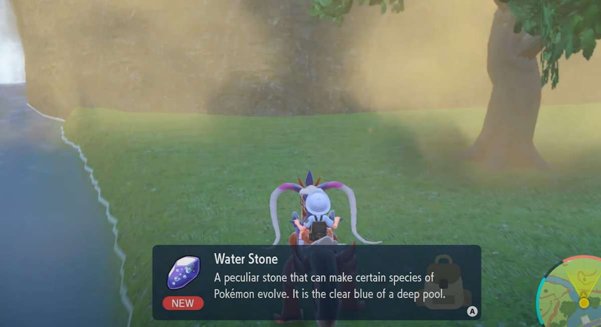 Where To Find Water Stone In Pokemon Scarlet And Violet