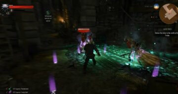 How To Defeat Wraiths In The Witcher 3