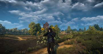 The Best Mods To Install For The Witcher 3