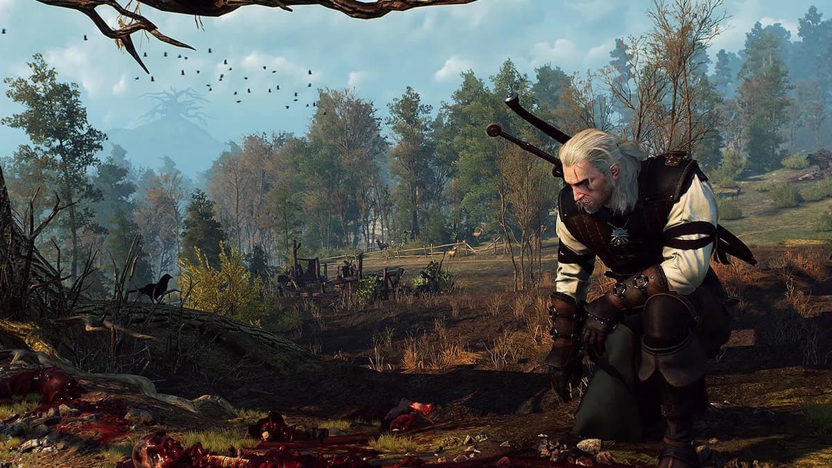 The Witcher 3: Best Quest Order For Complete Game