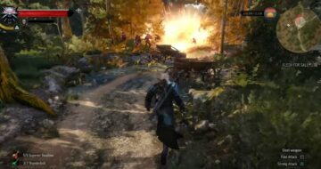 The Witcher 3 Bombs Guide