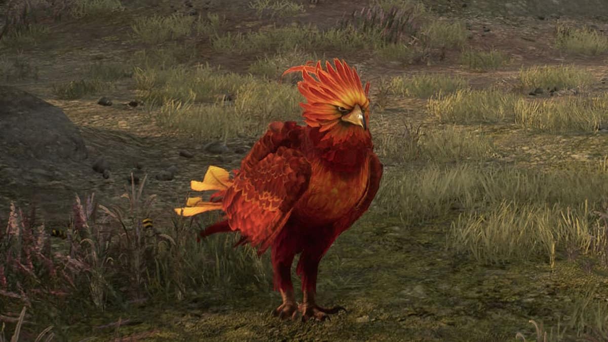 Where To Find A Phoenix In Hogwarts Legacy?