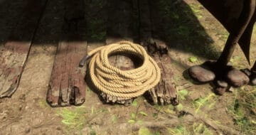 Sons of the Forest Rope