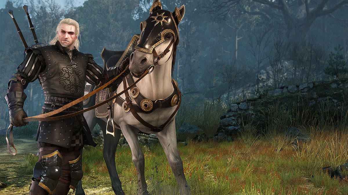 How To Get Nilfgaardian Armor Set In The Witcher 3
