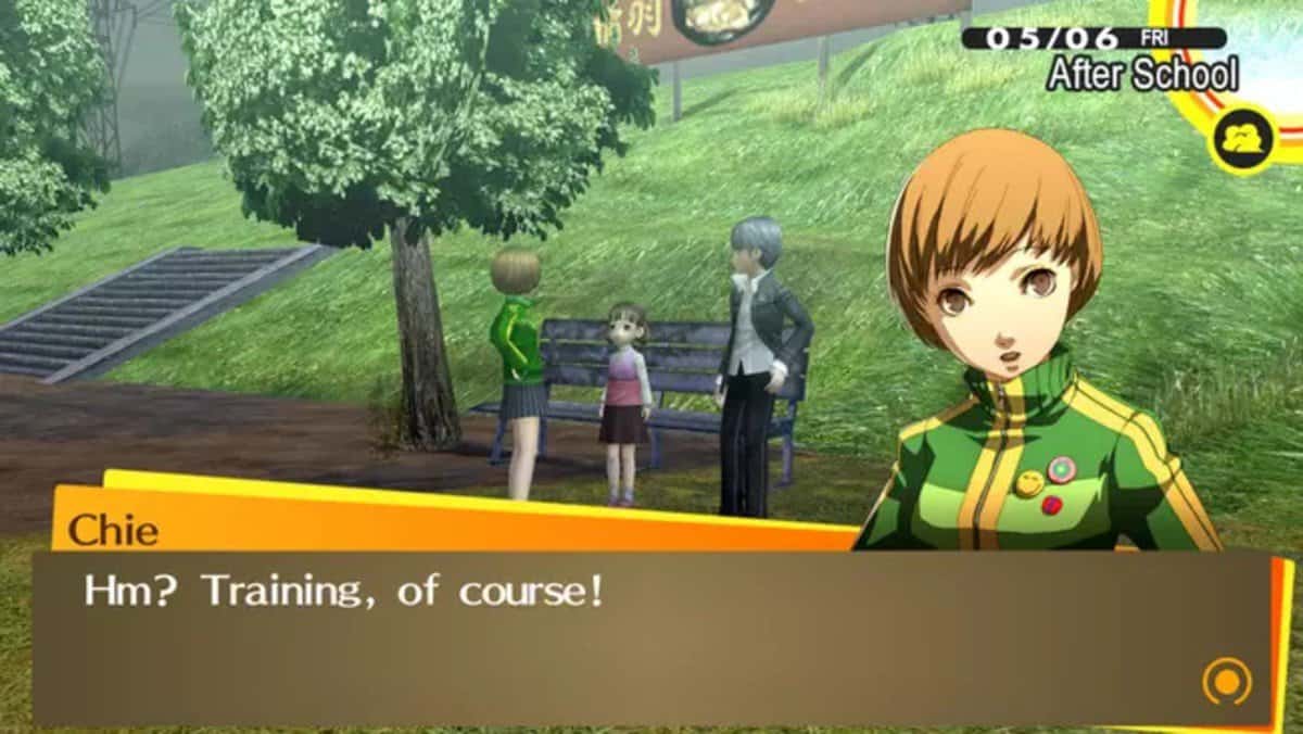 Chie in Persona 4 Golden