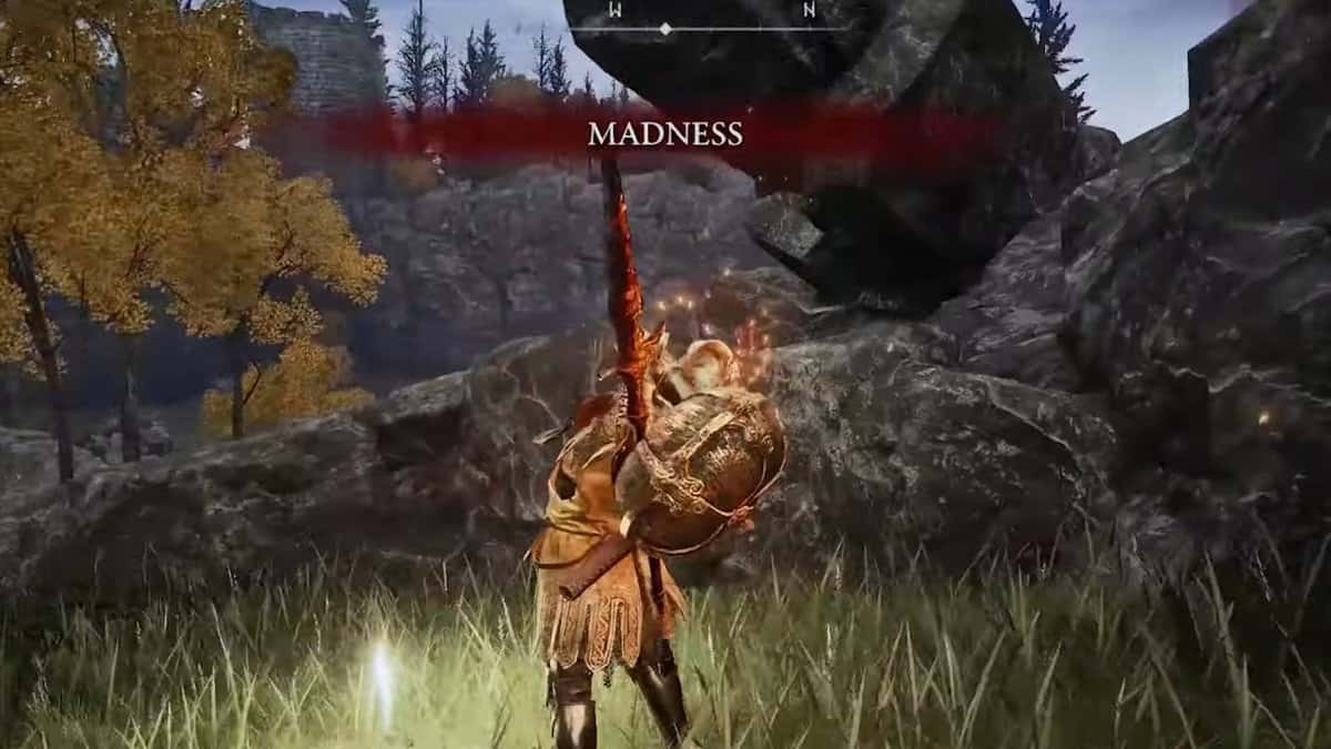How To Cure Madness In Elden Ring
