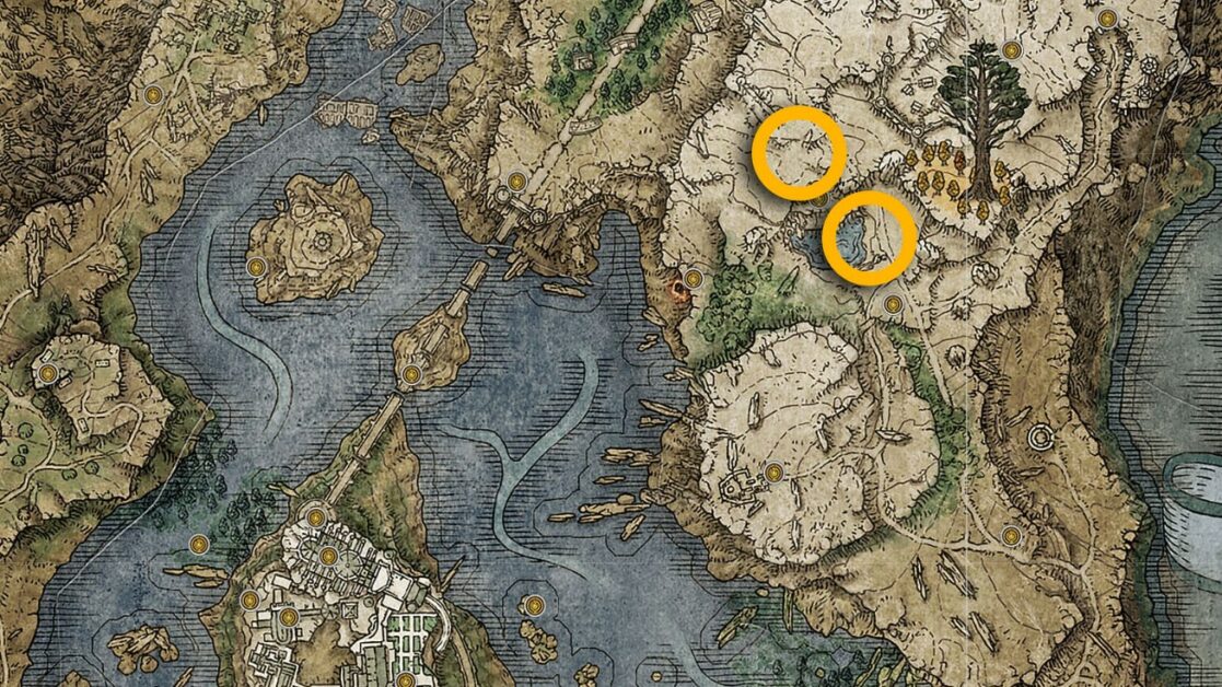 Lakes of Liurnia Walking Mausoleum map location in Elden Ring