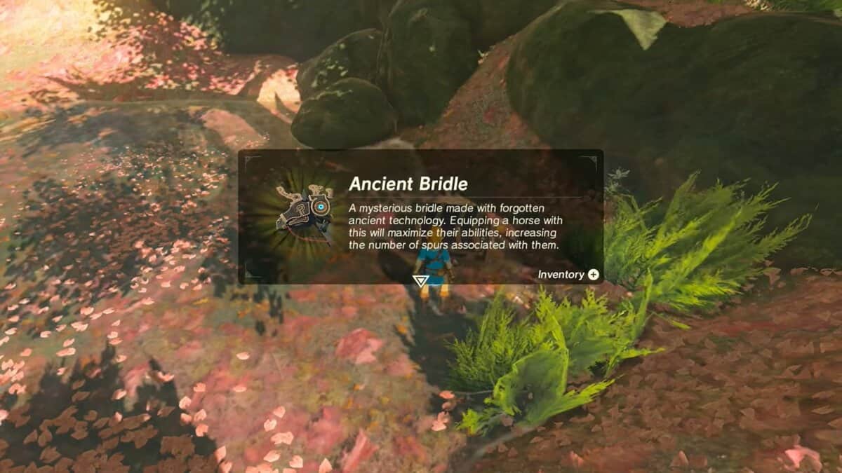 Zelda: Breath Of The Wild Horse Gear Locations