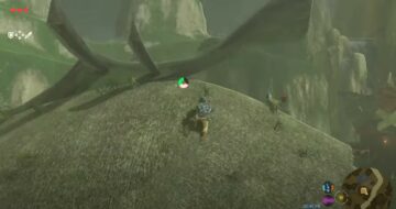 Zelda Breath of the Wild Flown the Coop quest